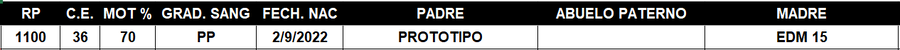 Lote LOTE 50