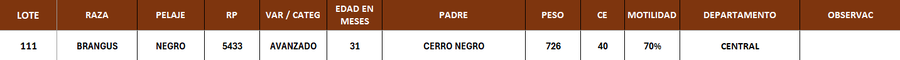 Lote LOTE 111