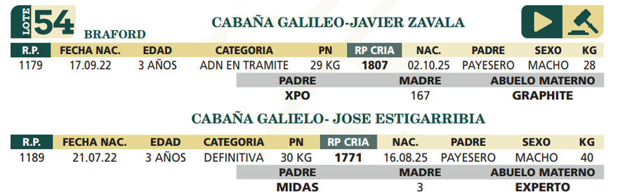 Lote LOTE 54