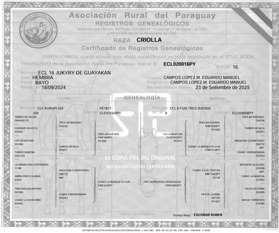 Lote LOTE 28- DE BOZAL