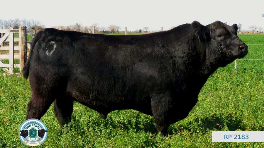 Lote CABAÑA DON PEDRO