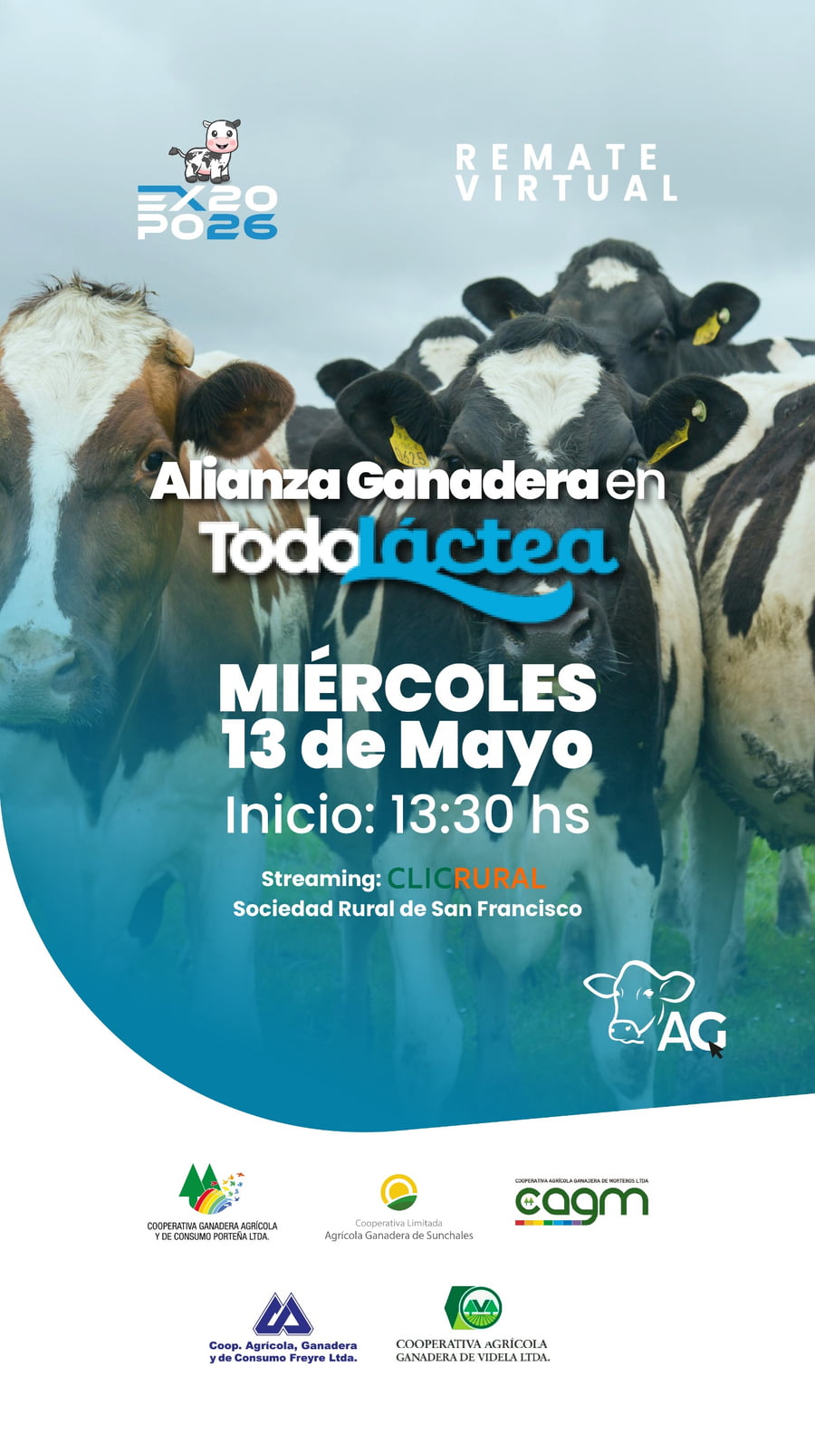 Lote 70 Vaquillonas Holando Argentino en Porteña, Córdoba