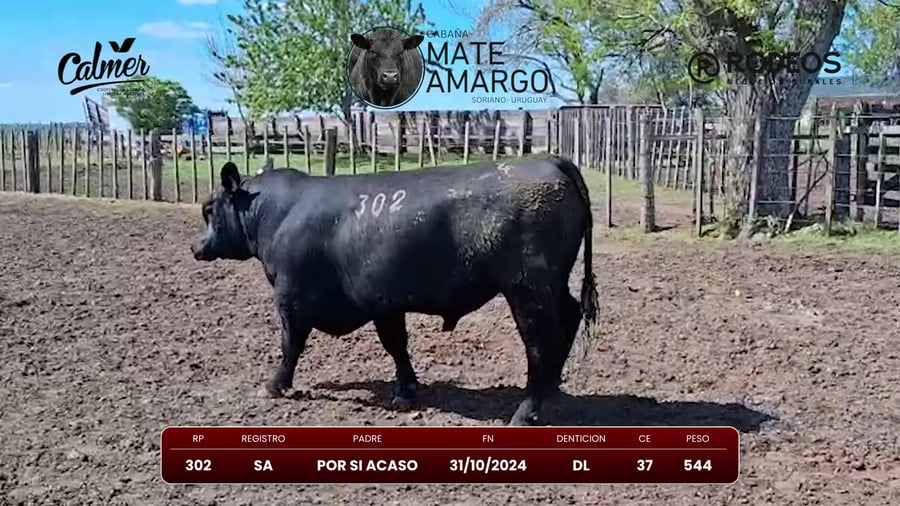 Lote RP 302 SA