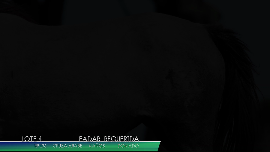 Lote FADAR REQUERIDA