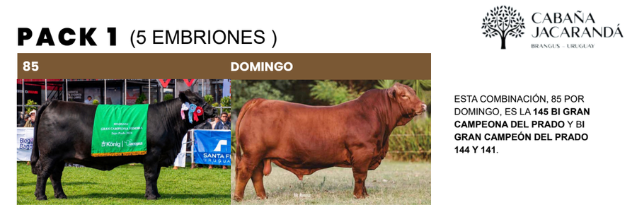 Lote PACK 1 (5 EMBRIONES)