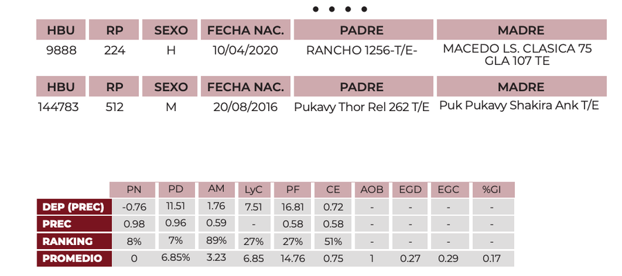 Lote Lote 5 embriones