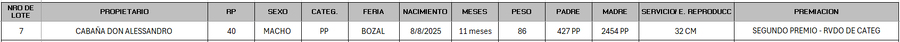 Lote LOTE 7 - BOZAL