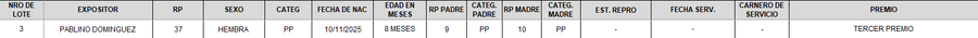 Lote LOTE 3 - CAMPO