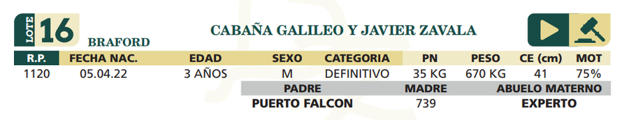 Lote LOTE 16
