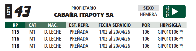 Lote LOTE 43