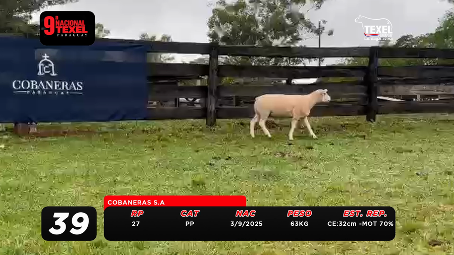 Lote LOTE 39
