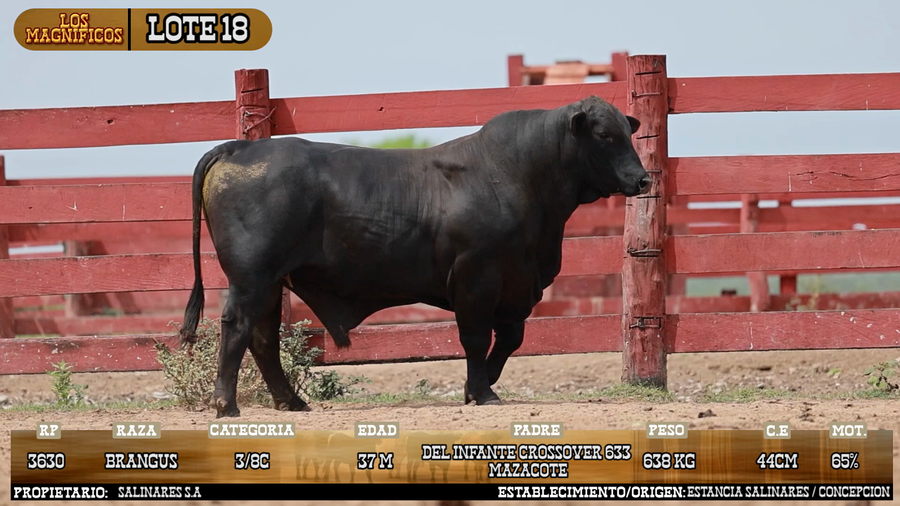 Lote LOTE 18 - PANTALLA