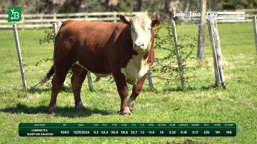 Lote Del Este / Cabaña La Lorencita