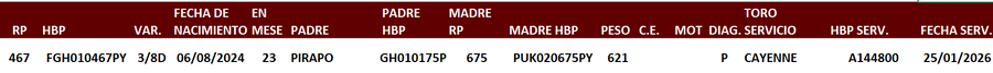 Lote LOTE 28
