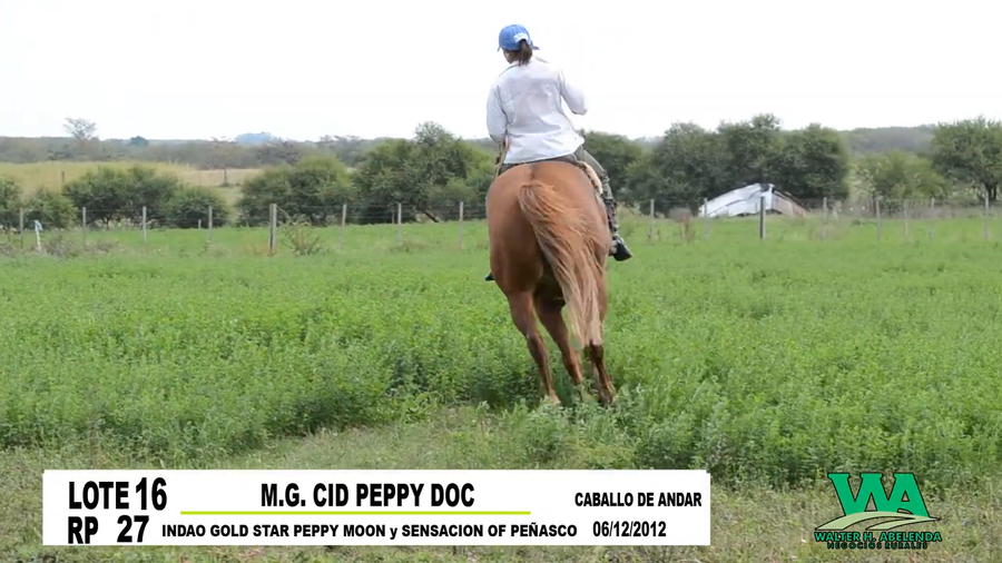 Lote M. G. CID PEPPY DOC