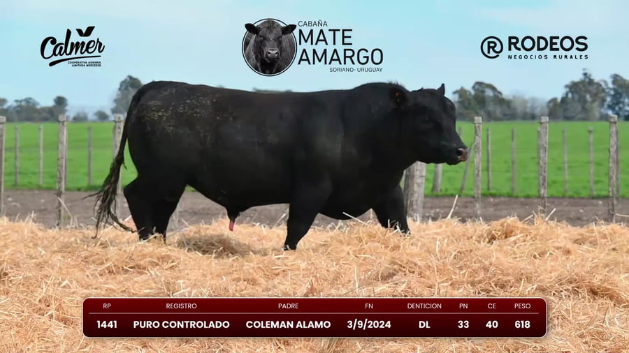 Lote RP 1441 PC
