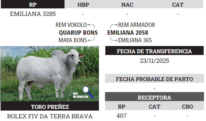 Lote LOTE 1 - PREÑECES
