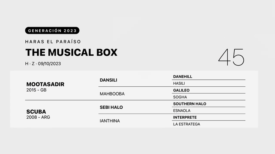 Lote THE MUSICAL BOX