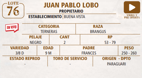 Lote LOTE 76 -EN VIVO