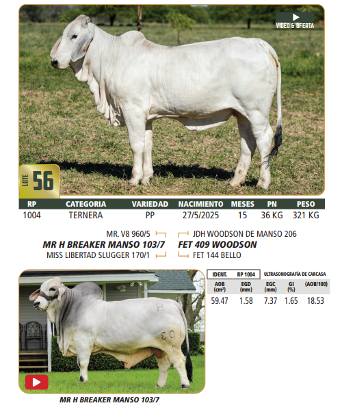 Lote LOTE 56