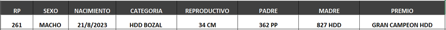 Lote LOTE 51- BOZAL