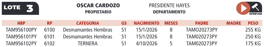 Lote LOTE 3