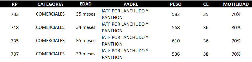 Lote AGROPECUARIA AMAMBAY LOTE 40