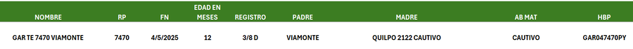 Lote LOTE 26