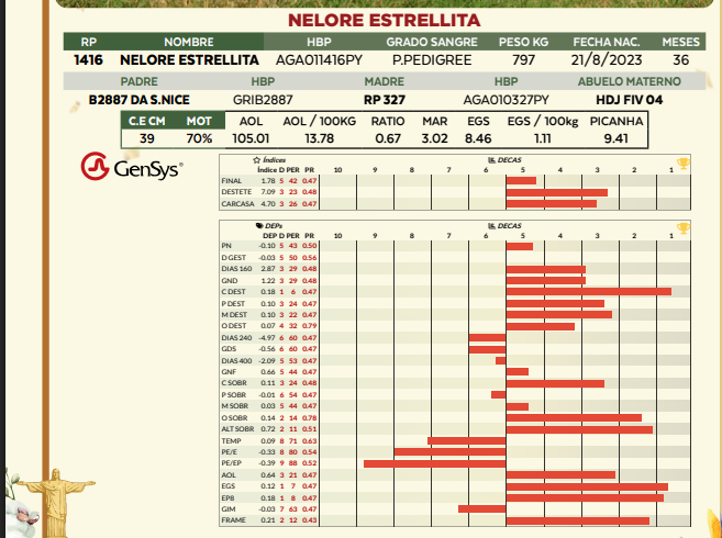 Lote LOTE 60