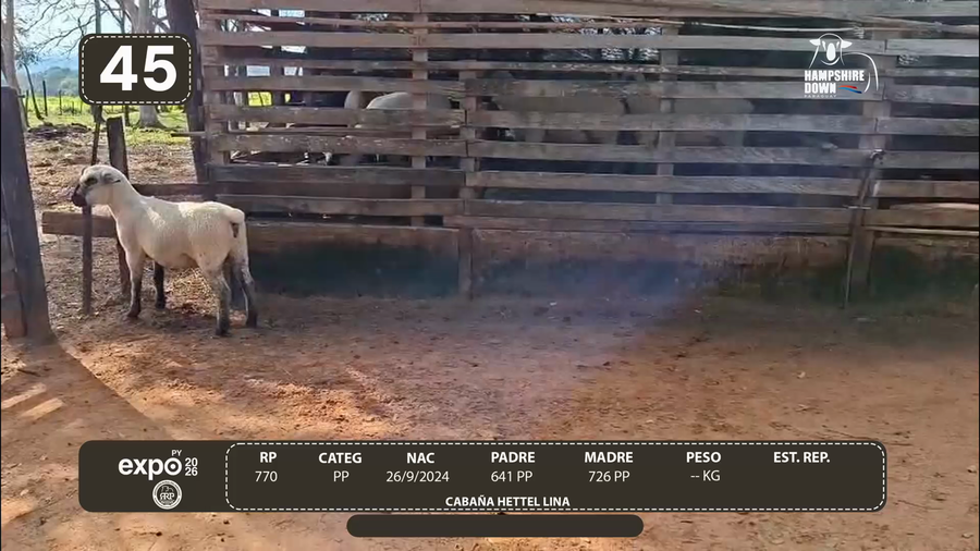 Lote LOTE 45 - CAMPO