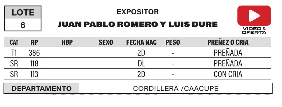 Lote LOTE 6- POR PANTALLA