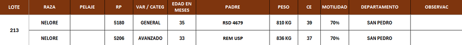 Lote LOTE 213