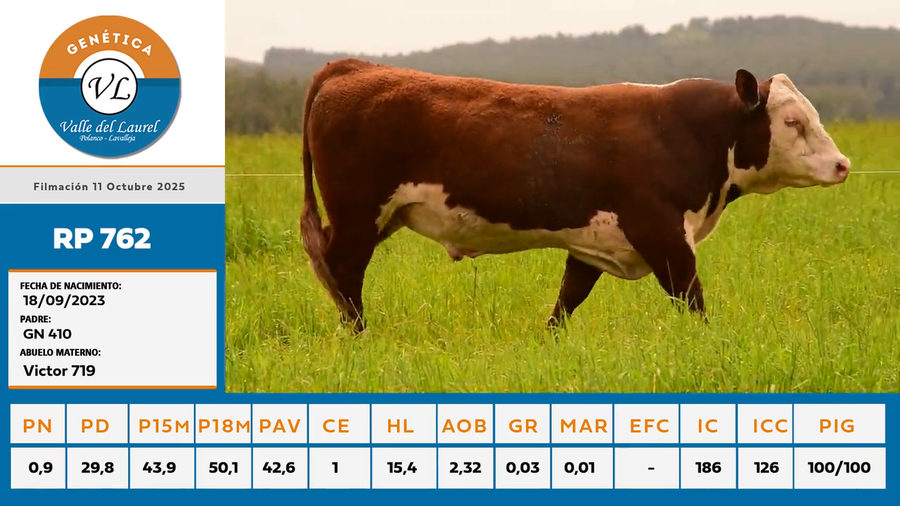 Lote RP 762 - Valle del Laurel