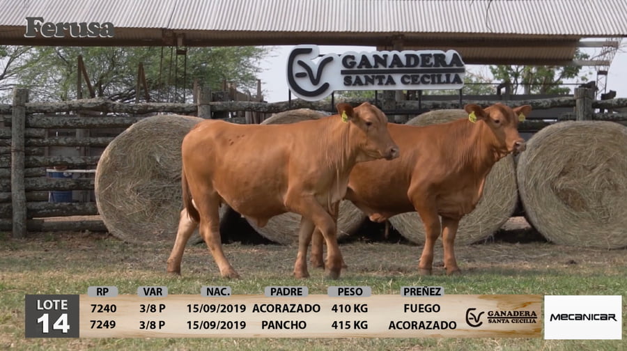 Lote Ganadera Santa Cecilia - Lote 14