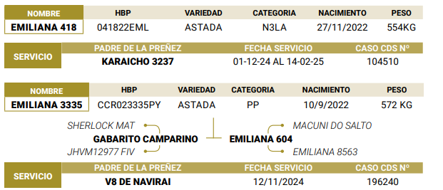Lote LOTE 48