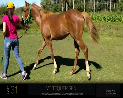 Lote VT TEQUERISEN