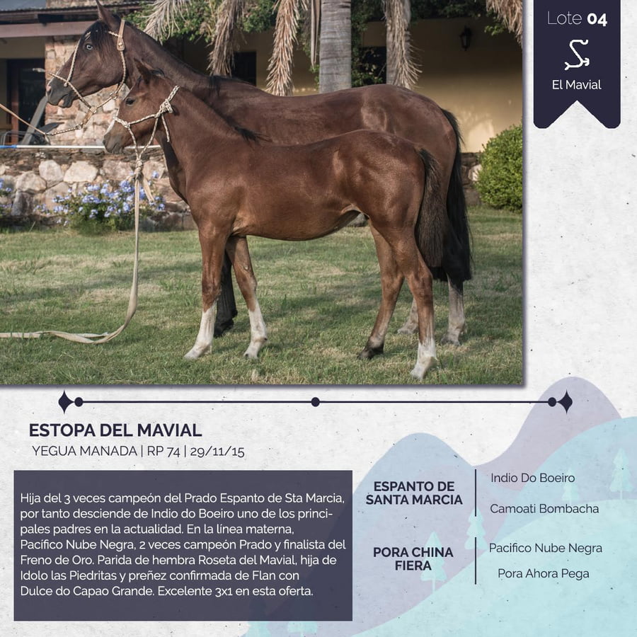 Lote ESTOPA DEL MAVIAL