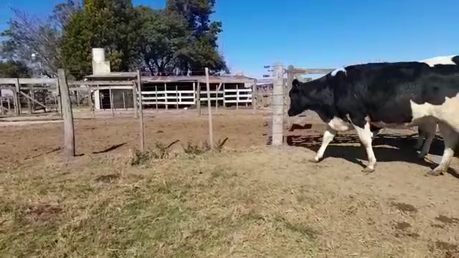 Lote Victor Pietrobon