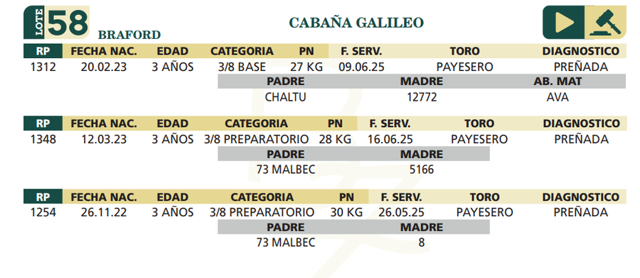 Lote LOTE 58