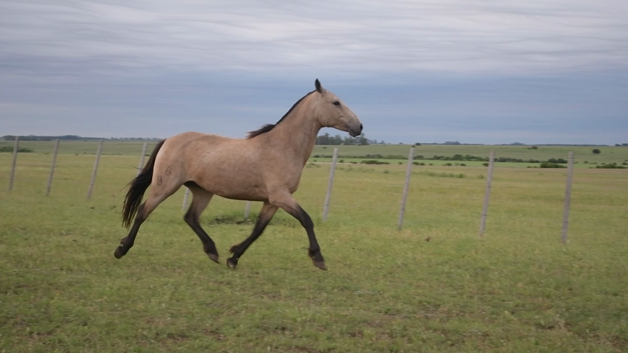 Lote La Baya D Ramon