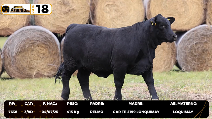 Lote LOTE 18