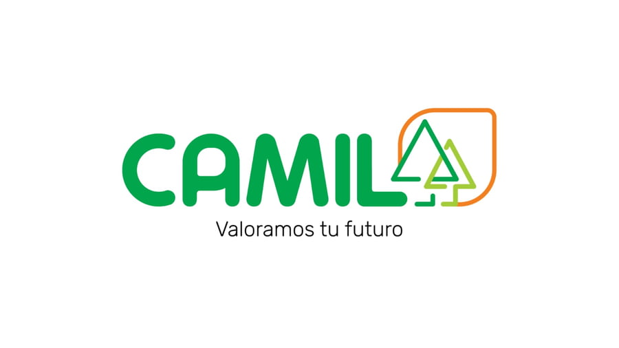 Lote 39 Novillos Agus Negros y Colorados en Pueblo Irigoyen, Santa Fe