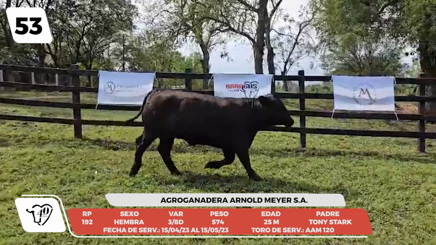 Lote LOTE 53-DE CAMPO