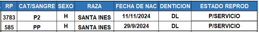 Lote LOTE 54