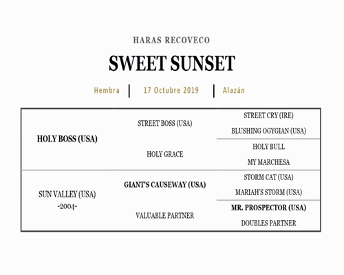 Lote OUTSHINED (CATCHER IN THE RYE - FORTY MONTERA)