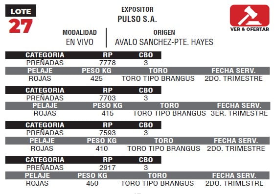 Lote LOTE 27- EN VIVO
