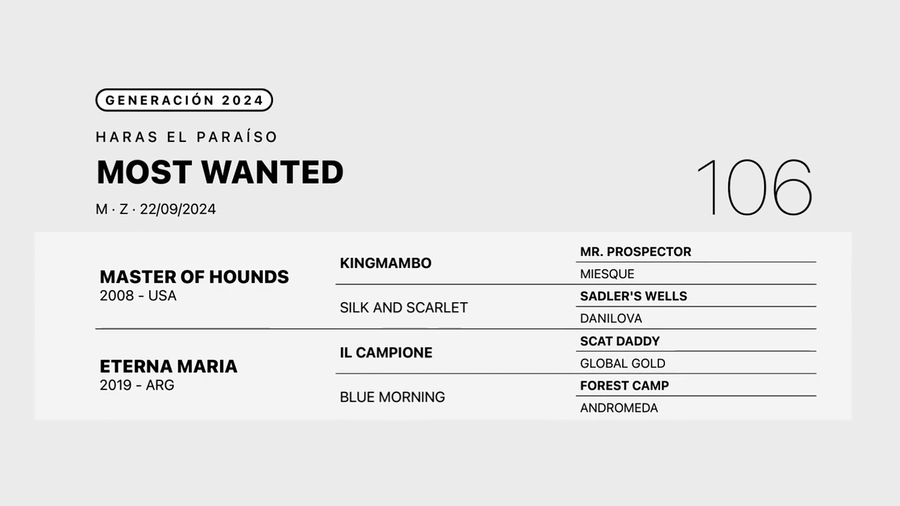 Lote MOST WANTED