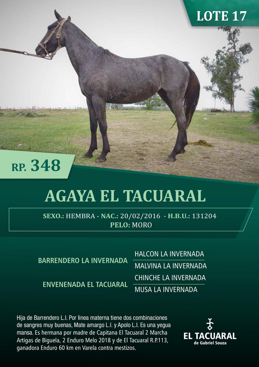 Lote AGAYA EL TACUARAL - R.P. 348