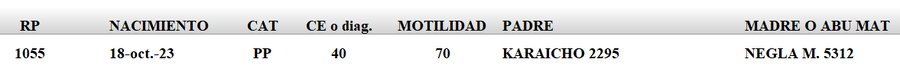 Lote LOTE 62