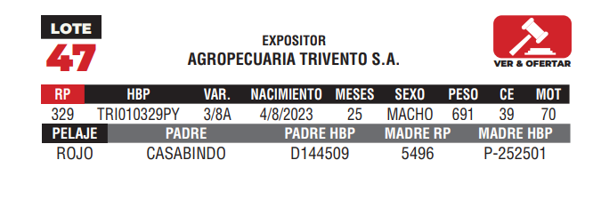 Lote LOTE 47 - CAMPO